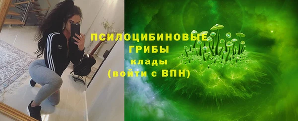 a pvp Алексин