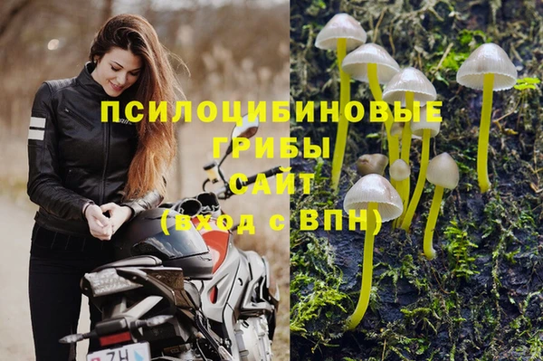 мескалин Абинск