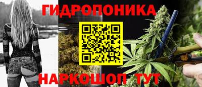СК Рязань