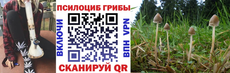 Псилоцибиновые грибы прущие грибы  Старая Русса 