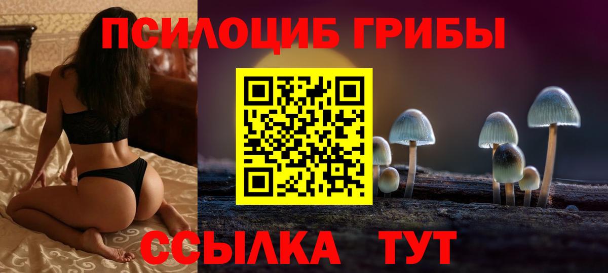 Галлюциногенные грибы Psilocybine cubensis  Вход с VPN  Старая Русса  Псилоцибиновые грибы Psilocybine cubensis 