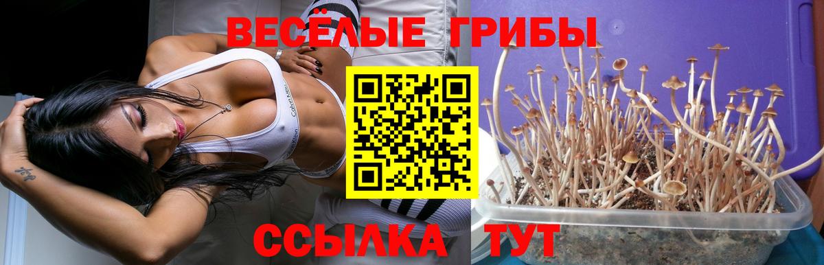 Псилоцибиновые грибы MAGIC MUSHROOMS Старая Русса